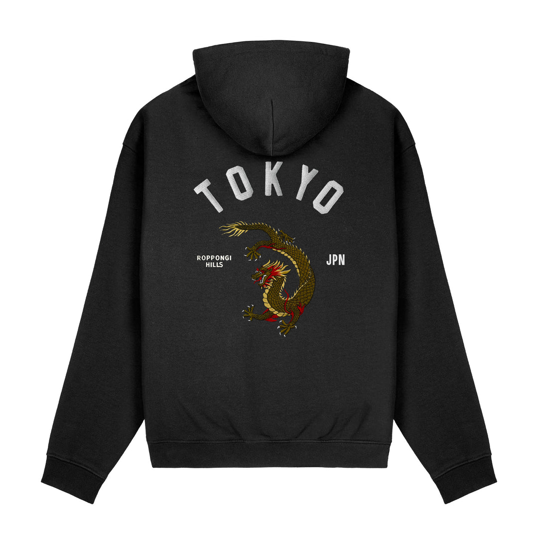 hoodie B251B